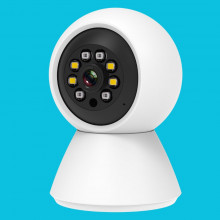 Внутренняя камера TPC991