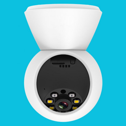 Внутренняя камера TPC991